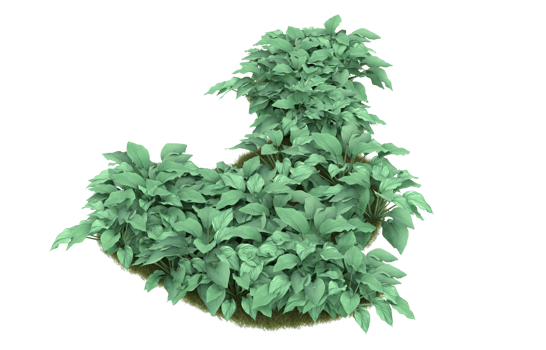 Realistic foliage isolated on transparent background. 3d rendering - illustration png