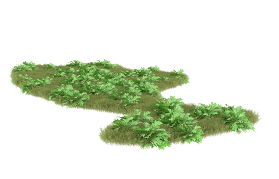 Realistic foliage isolated on transparent background. 3d rendering - illustration png
