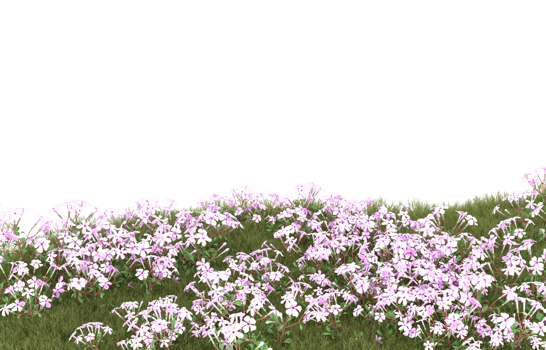 Realistic foliage isolated on transparent background. 3d rendering - illustration png
