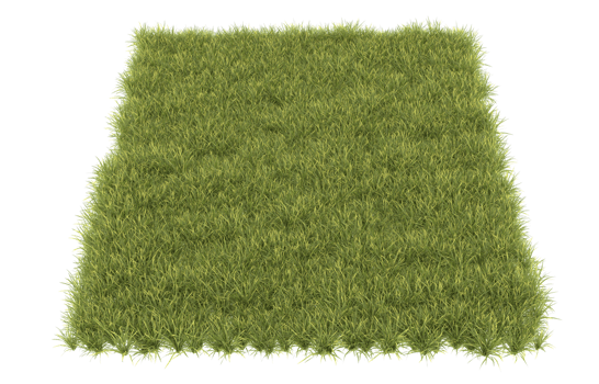 Realistic foliage isolated on transparent background. 3d rendering - illustration png