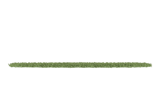 Realistic foliage isolated on transparent background. 3d rendering - illustration png