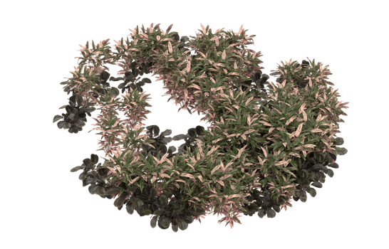 Realistic foliage isolated on transparent background. 3d rendering - illustration png