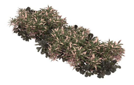 Realistic foliage isolated on transparent background. 3d rendering - illustration png