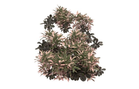 Realistic foliage isolated on transparent background. 3d rendering - illustration png