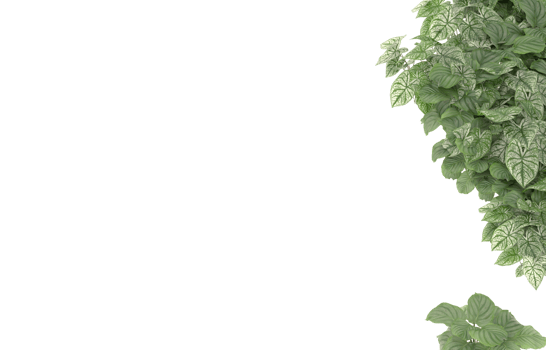 Realistic foliage isolated on transparent background. 3d rendering - illustration png