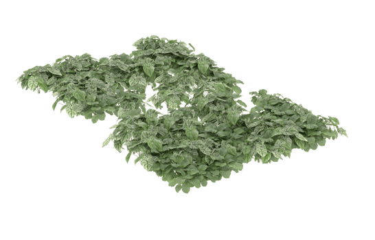 Realistic foliage isolated on transparent background. 3d rendering - illustration png