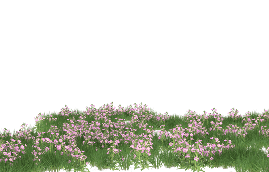 Realistic foliage isolated on transparent background. 3d rendering - illustration png
