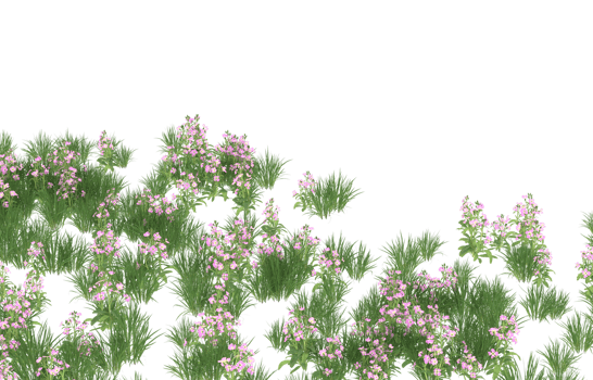 Realistic foliage isolated on transparent background. 3d rendering - illustration png