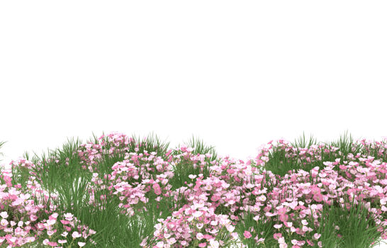 Realistic foliage isolated on transparent background. 3d rendering - illustration png