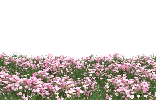 Realistic foliage isolated on transparent background. 3d rendering - illustration png