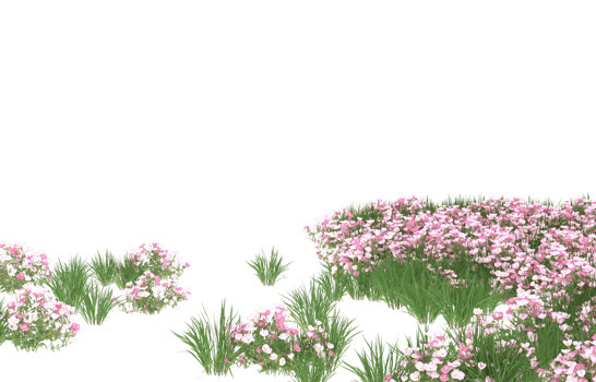 Realistic foliage isolated on transparent background. 3d rendering - illustration png