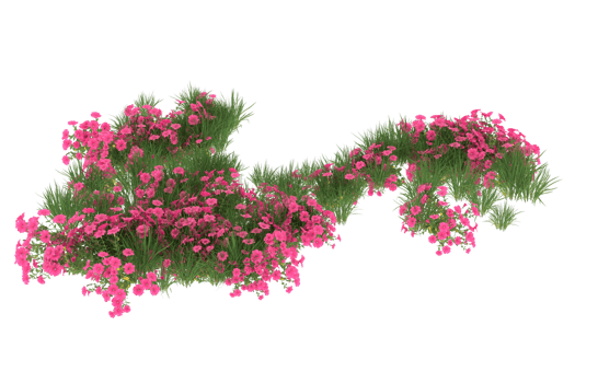 Realistic foliage isolated on transparent background. 3d rendering - illustration png