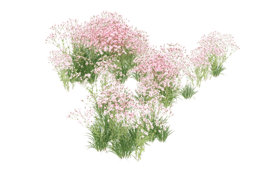 Realistic foliage isolated on transparent background. 3d rendering - illustration png