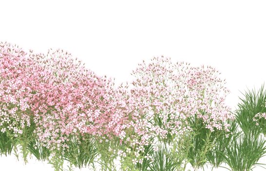Realistic foliage isolated on transparent background. 3d rendering - illustration png