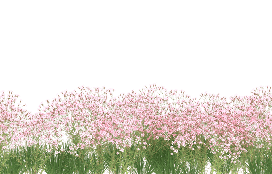 Realistic foliage isolated on transparent background. 3d rendering - illustration png