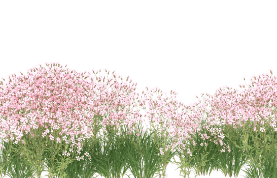 Realistic foliage isolated on transparent background. 3d rendering - illustration png