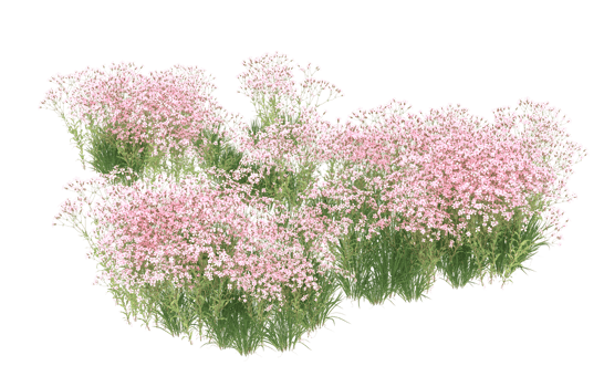 Realistic foliage isolated on transparent background. 3d rendering - illustration png