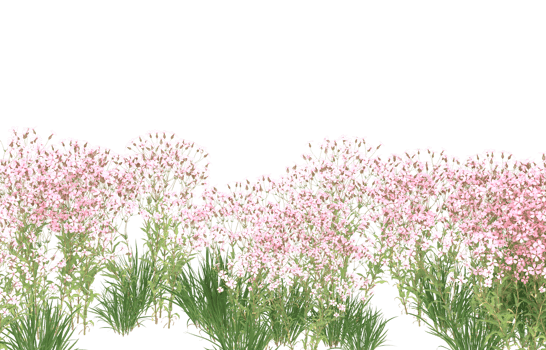 Realistic foliage isolated on transparent background. 3d rendering - illustration png