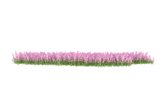 Realistic foliage isolated on transparent background. 3d rendering - illustration png