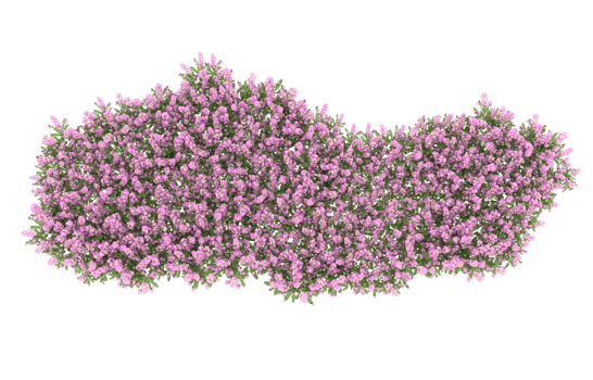 Realistic foliage isolated on transparent background. 3d rendering - illustration png