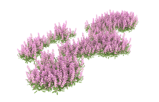Realistic foliage isolated on transparent background. 3d rendering - illustration png