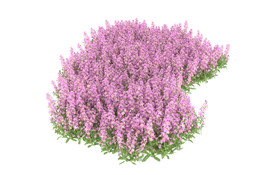 Realistic foliage isolated on transparent background. 3d rendering - illustration png