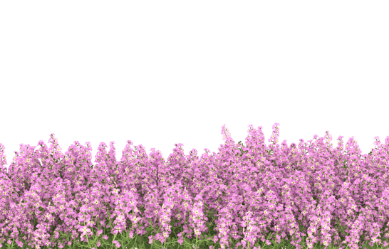 Realistic foliage isolated on transparent background. 3d rendering - illustration png