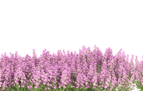 Realistic foliage isolated on transparent background. 3d rendering - illustration png