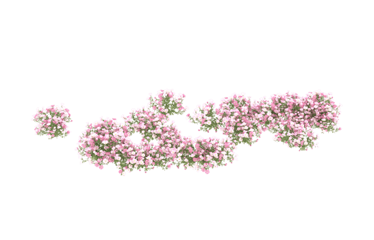 Realistic foliage isolated on transparent background. 3d rendering - illustration png