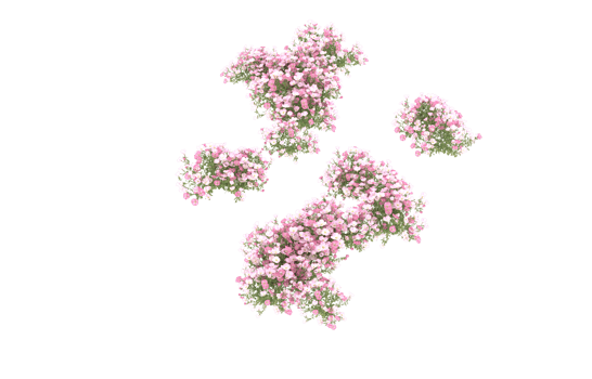 Realistic foliage isolated on transparent background. 3d rendering - illustration png