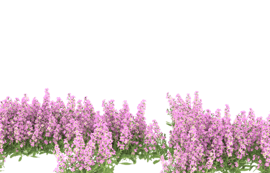 Realistic foliage isolated on transparent background. 3d rendering - illustration png
