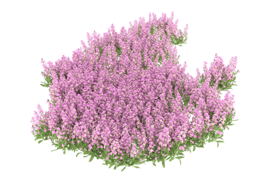 Realistic foliage isolated on transparent background. 3d rendering - illustration png
