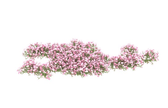 Realistic foliage isolated on transparent background. 3d rendering - illustration png