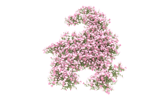 Realistic foliage isolated on transparent background. 3d rendering - illustration png