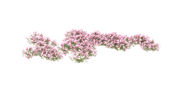 Realistic foliage isolated on transparent background. 3d rendering - illustration png