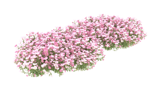 Realistic foliage isolated on transparent background. 3d rendering - illustration png