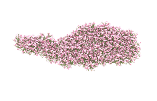 Realistic foliage isolated on transparent background. 3d rendering - illustration png