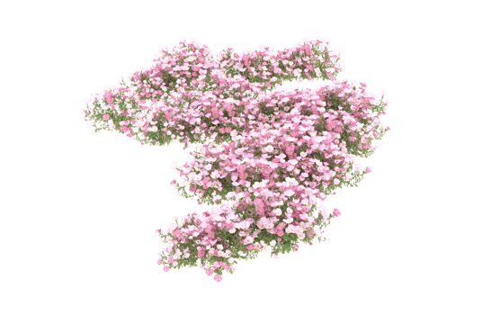 Realistic foliage isolated on transparent background. 3d rendering - illustration png