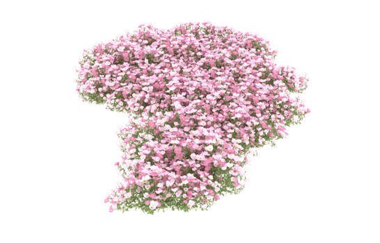 Realistic foliage isolated on transparent background. 3d rendering - illustration png