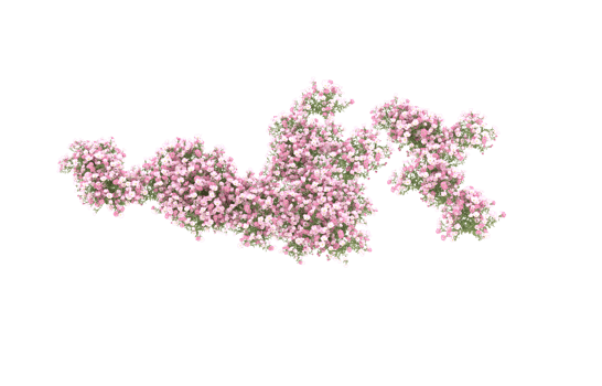 Realistic foliage isolated on transparent background. 3d rendering - illustration png