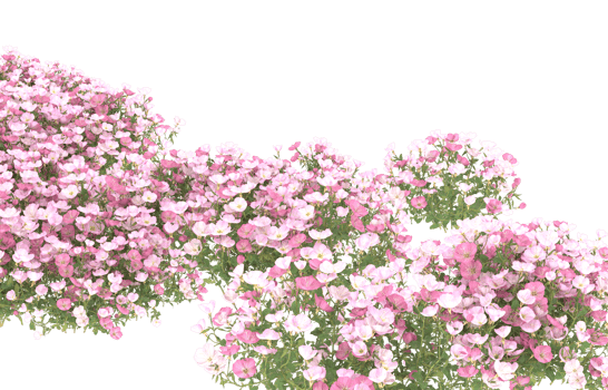 Realistic foliage isolated on transparent background. 3d rendering - illustration png