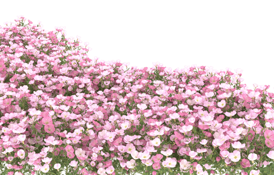 Realistic foliage isolated on transparent background. 3d rendering - illustration png