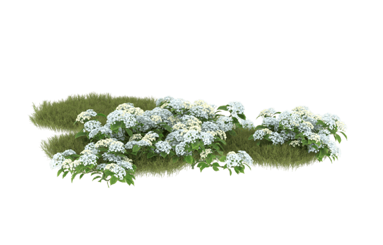 Realistic foliage isolated on transparent background. 3d rendering - illustration png