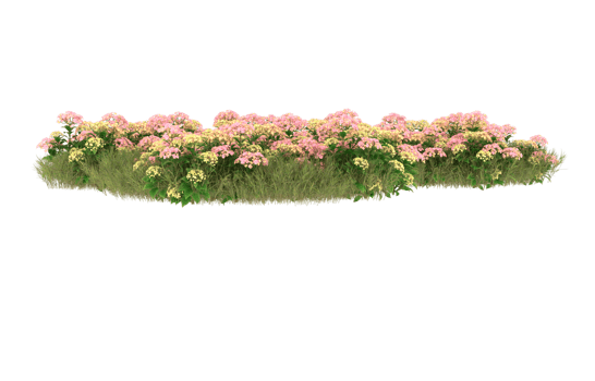 Realistic foliage isolated on transparent background. 3d rendering - illustration png