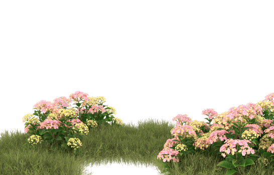 Realistic foliage isolated on transparent background. 3d rendering - illustration png
