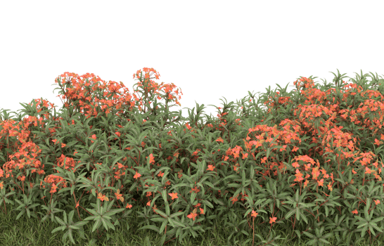 Realistic foliage isolated on transparent background. 3d rendering - illustration png