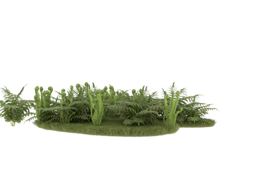 Realistic foliage isolated on transparent background. 3d rendering - illustration png