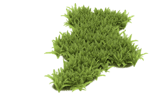 Realistic foliage isolated on transparent background. 3d rendering - illustration png