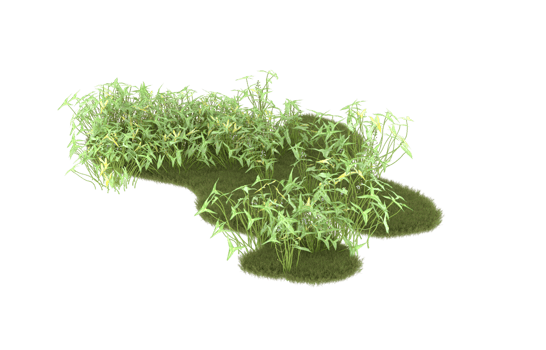 Realistic foliage isolated on transparent background. 3d rendering - illustration png