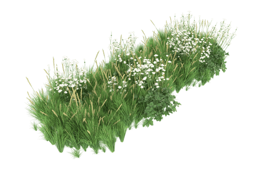 Realistic foliage isolated on transparent background. 3d rendering - illustration png